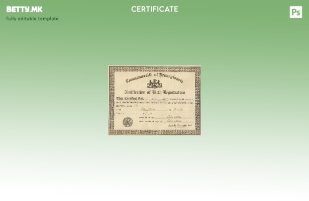 модерен стил Соединетите Американски Држави Комонвелт на Пенсилванија Шаблон з 1